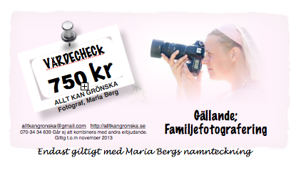 Värdecheck 750 kr familjefotografering! 2013