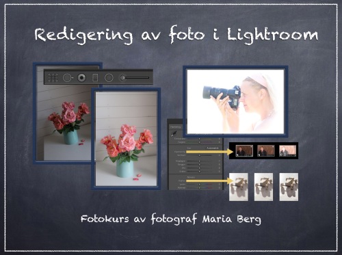 Bildredigeringskurs i Lightroom av fotograf Maria Berg